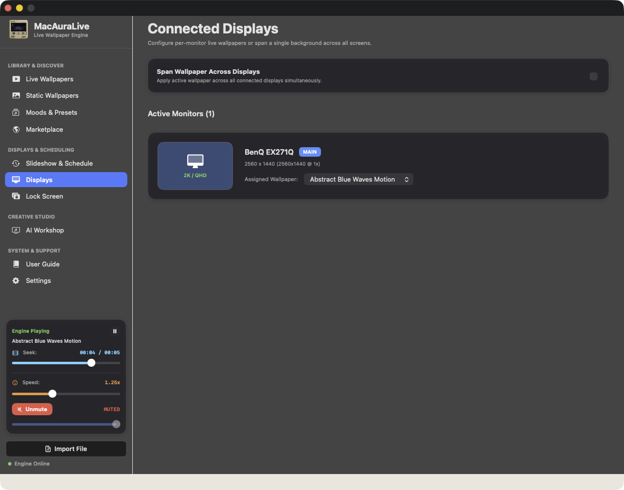 Multi-Monitor Displays